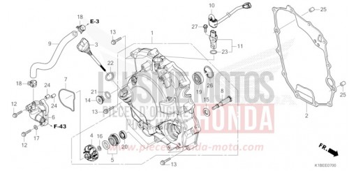 RIGHT CRANKCASE COVER/WATER PUMP NSS350AR de 2024